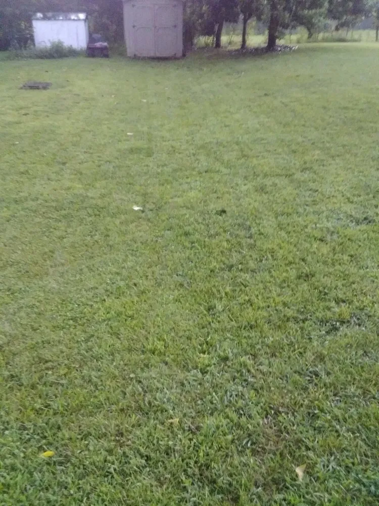 Affordable lawn mowing service in Hickory, NC by Rudisill Tree & Lawn Care Maintenance