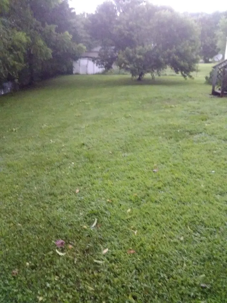 Professional lawn mowing service for outdoor upgrades across Hickory, NC - Rudisill Tree & Lawn Care Maintenance