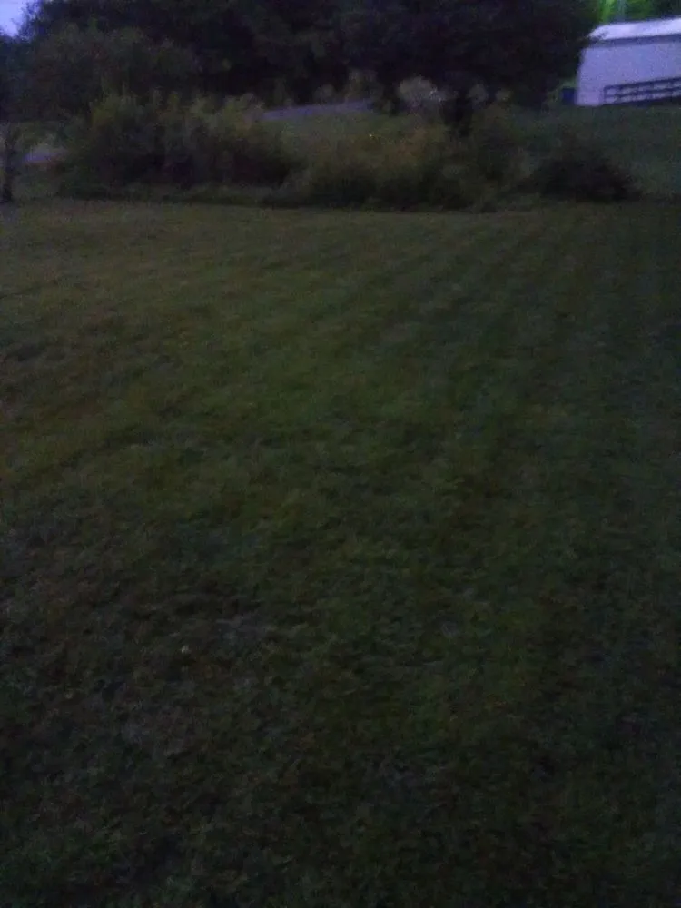 Local yard cleanup service in Hickory, NC by Rudisill Tree & Lawn Care Maintenance