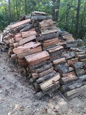 Rudisill's Tree Service and Landscaping Logo