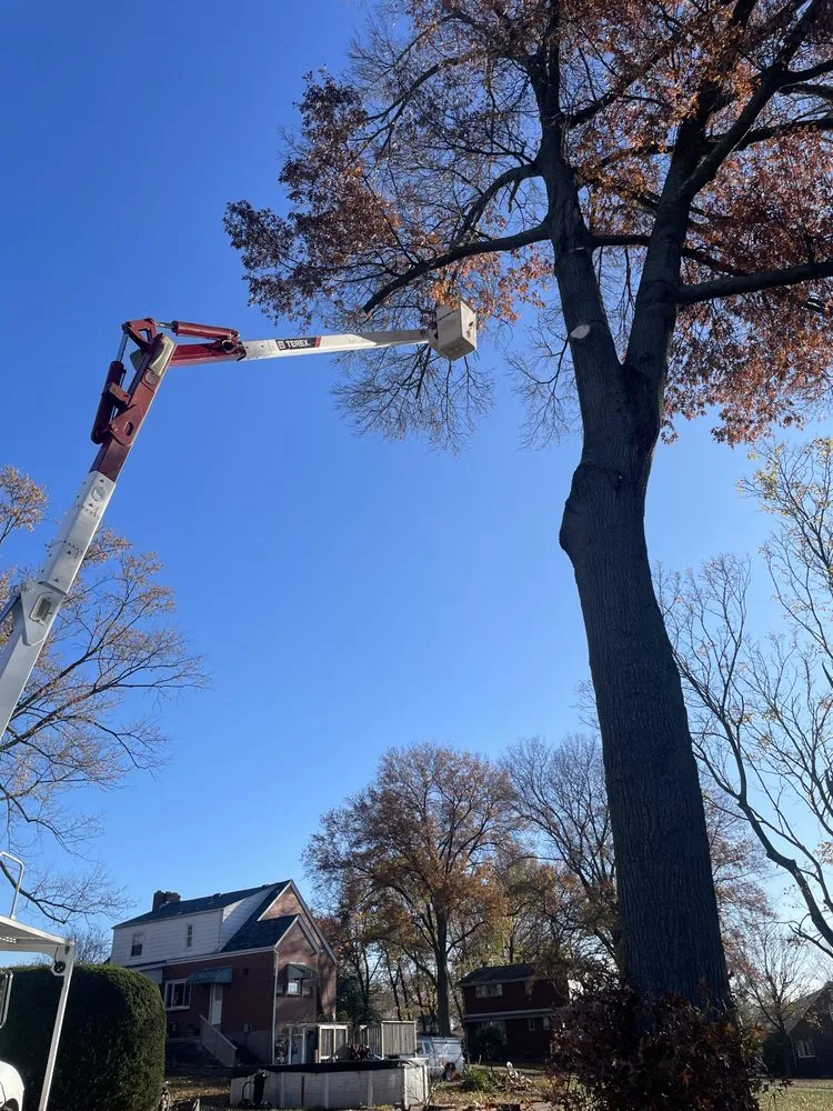 Top-rated garden landscaping in Irwin, PA by Rudolph Tree Service