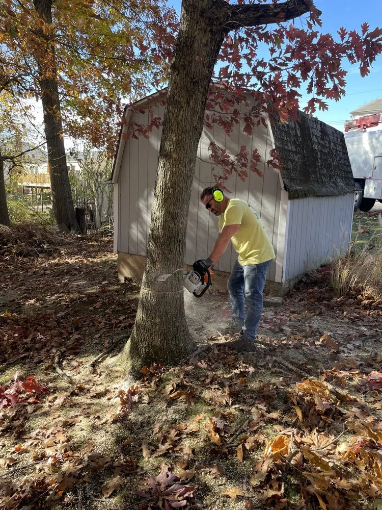 Expert yard cleanup service with custom design across Irwin, PA - Rudolph Tree Service