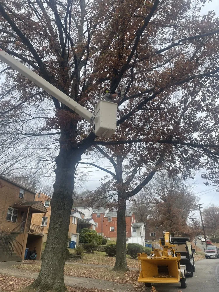 Trusted outdoor landscaping in Irwin, PA by Rudolph Tree Service