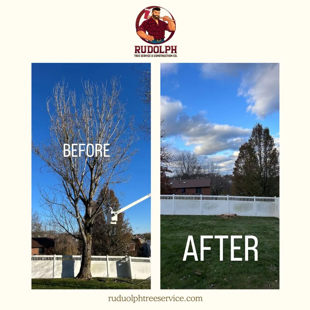 Trusted landscape design for homes in Irwin, PA by Rudolph Tree Service