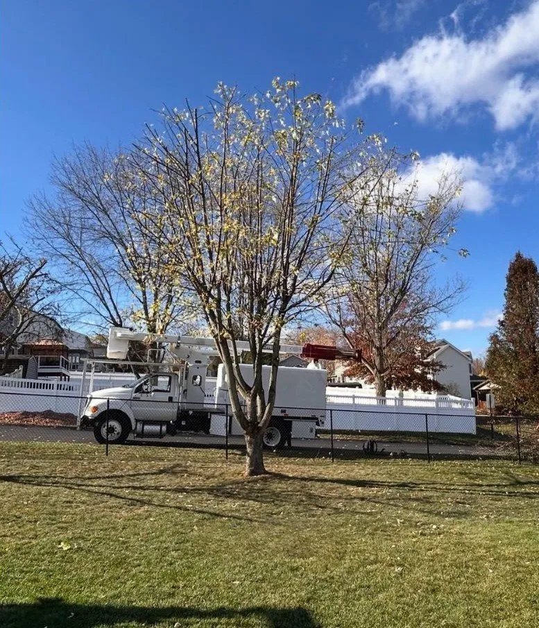 Expert landscaping services in Irwin, PA - Rudolph Tree Service