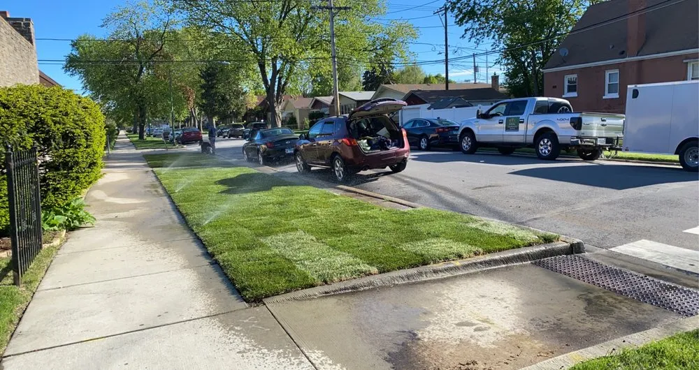 Affordable lawn care service in Chicago, IL - Rudy & Sons Irrigation and Landscaping
