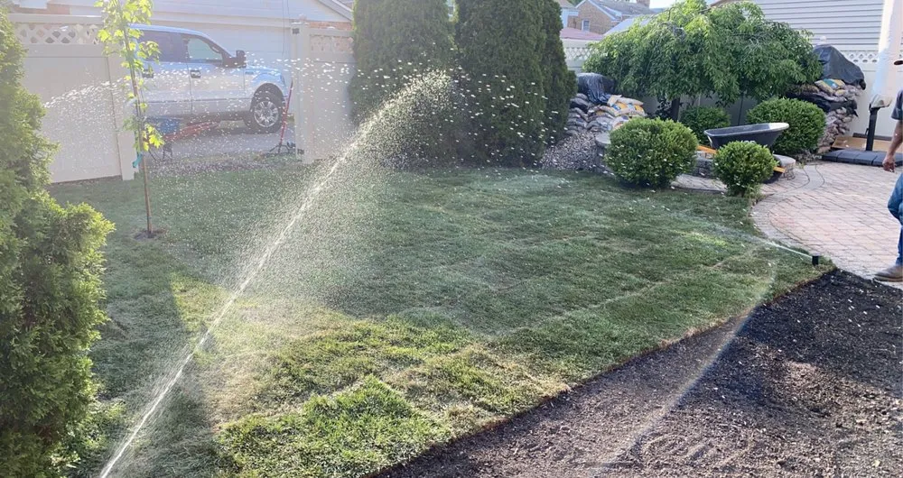 Expert lawn care service experts serving Chicago, IL - Rudy & Sons Irrigation and Landscaping