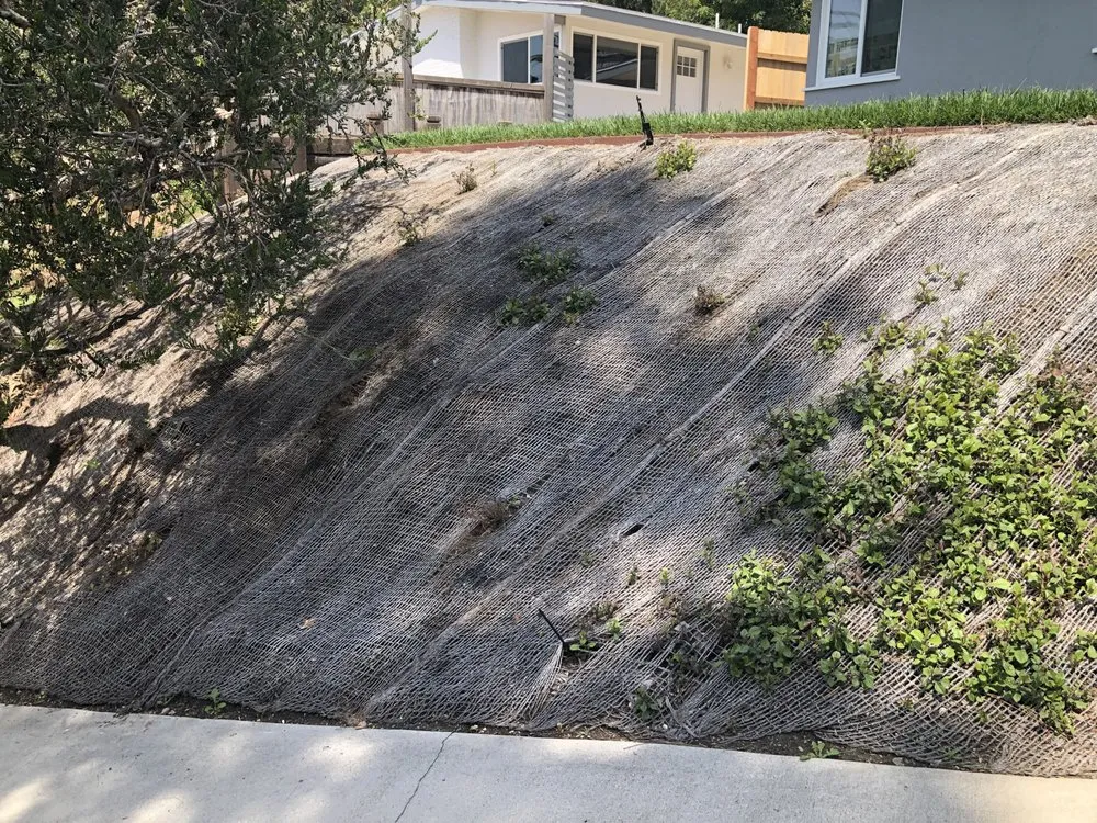 Top-rated lawn mowing service experts serving Camarillo, CA - Rudy Landscape