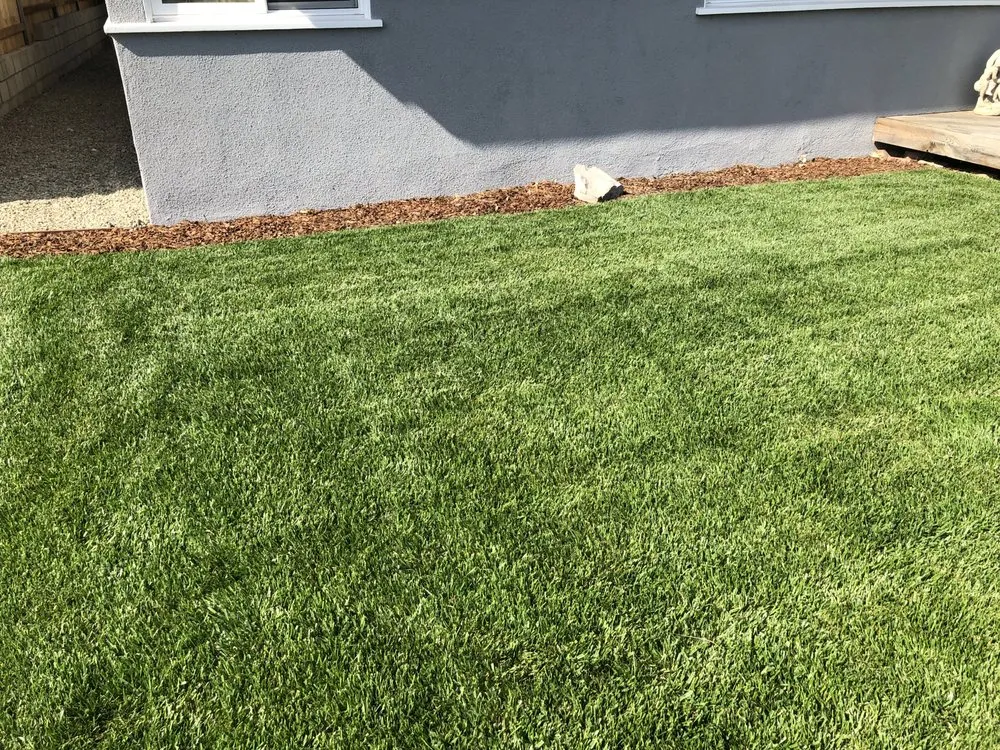 Professional outdoor landscaping in Camarillo, CA - Rudy Landscape