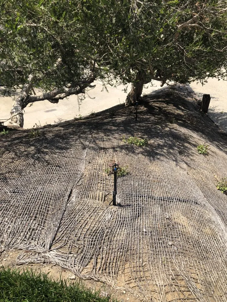 Expert lawn mowing service in Camarillo, CA - Rudy Landscape