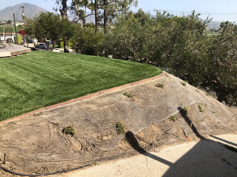 Expert yard maintenance experts serving Camarillo, CA - Rudy Landscape