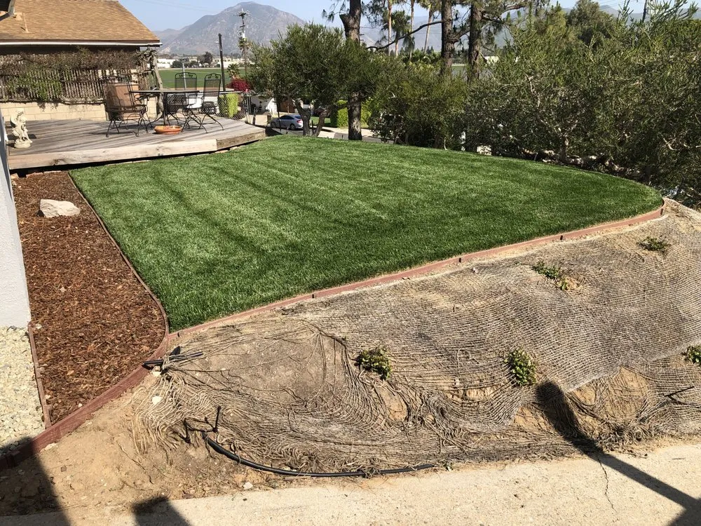 Top-rated yard maintenance with custom design across Camarillo, CA - Rudy Landscape