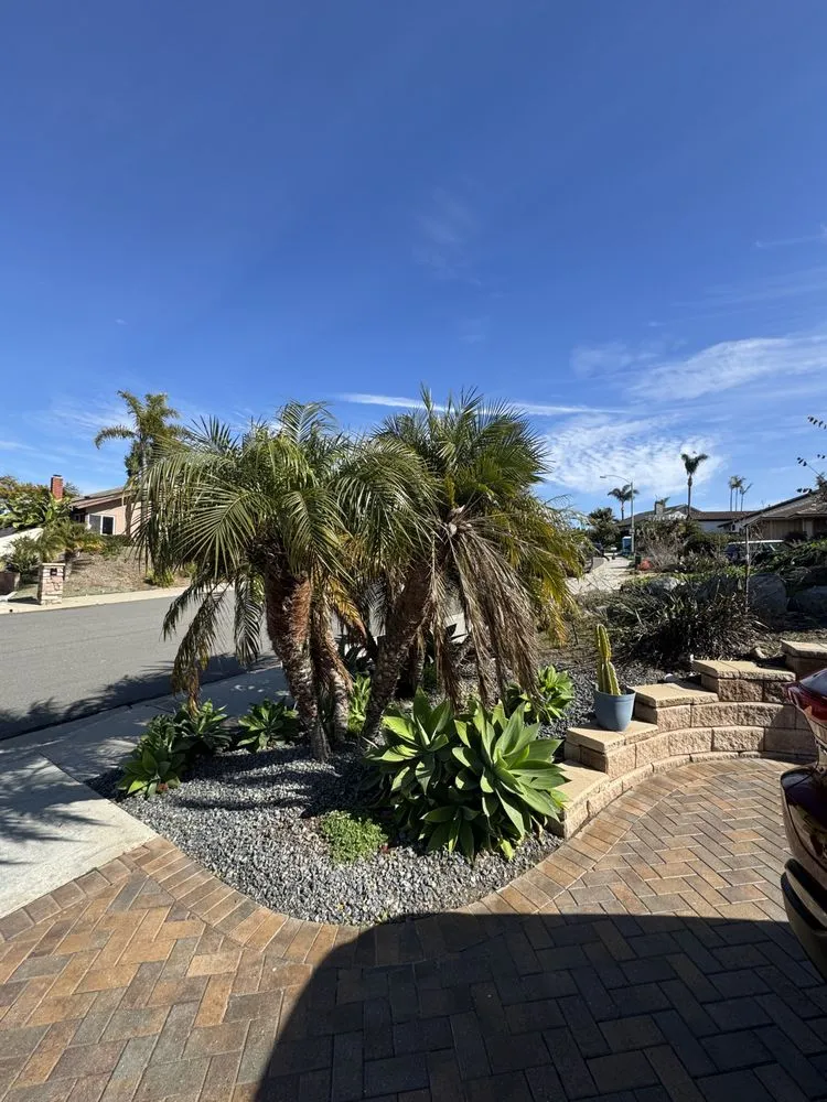 Expert garden landscaping in Carlsbad, CA by Rudy Morales Landscape