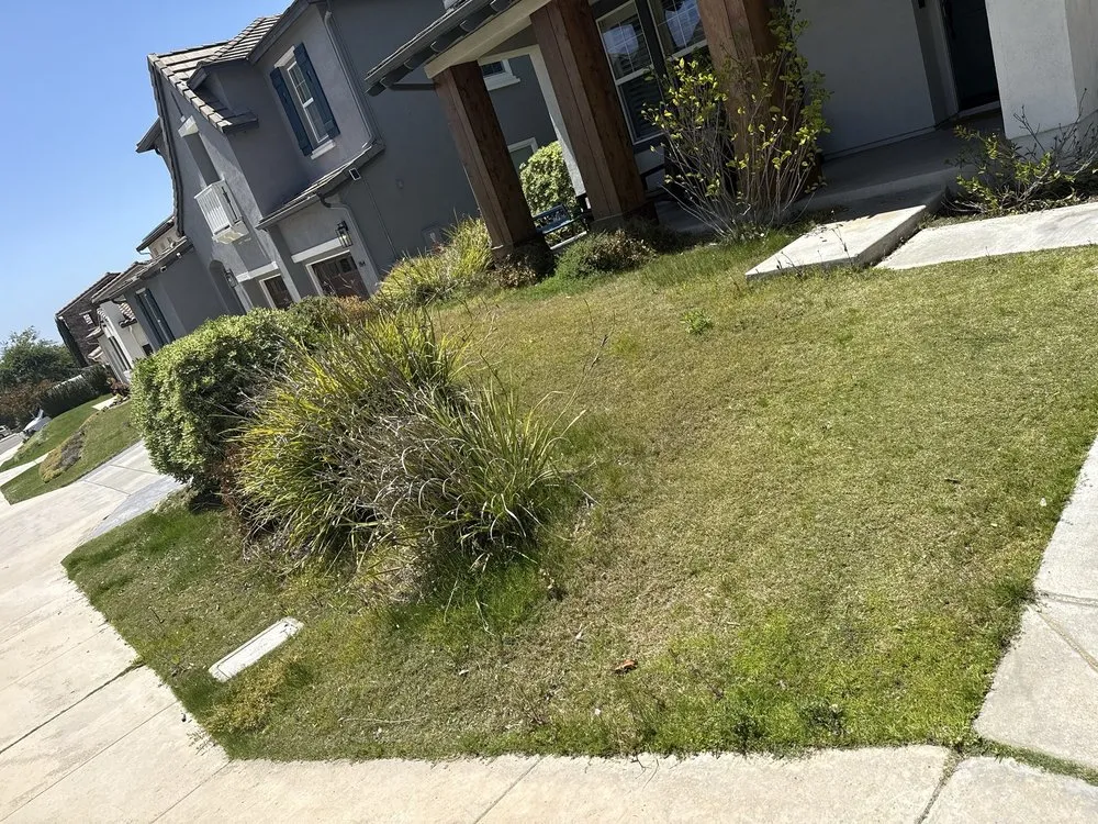 Reliable lawn care service near you across Carlsbad, CA - Rudy Morales Landscape