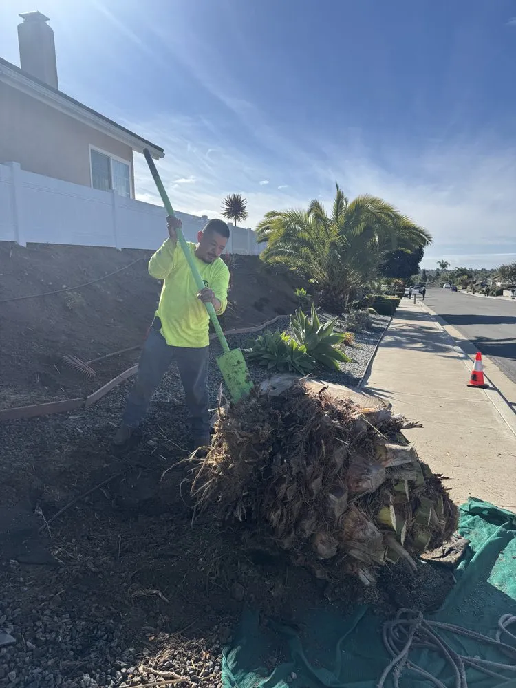 Local outdoor landscaping for homes across Carlsbad, CA - Rudy Morales Landscape