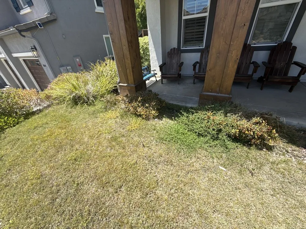 Trusted lawn mowing service with custom design across Carlsbad, CA - Rudy Morales Landscape