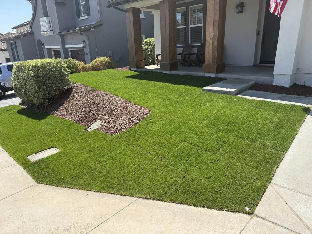 Local landscape installation in Carlsbad, CA - Rudy Morales Landscape
