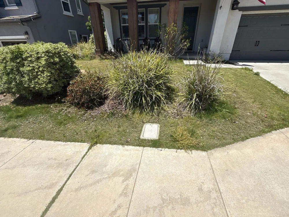 Expert residential landscaping for beautiful yards in Carlsbad, CA by Rudy Morales Landscape