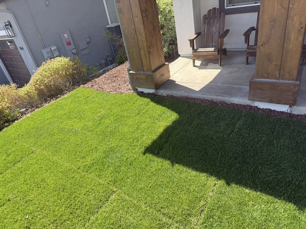 Affordable outdoor landscaping in Carlsbad, CA - Rudy Morales Landscape