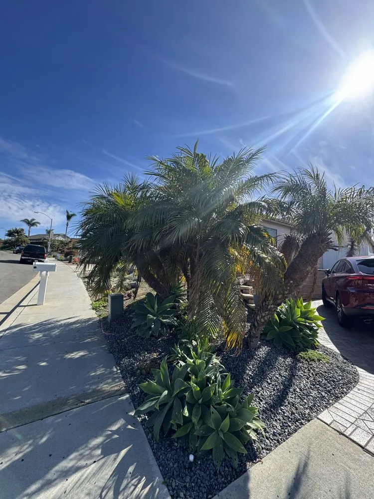 Professional landscaping services experts serving Carlsbad, CA - Rudy Morales Landscape