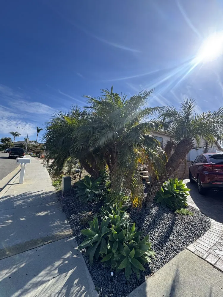 Affordable landscaping services in Carlsbad, CA by Rudy Morales Landscape