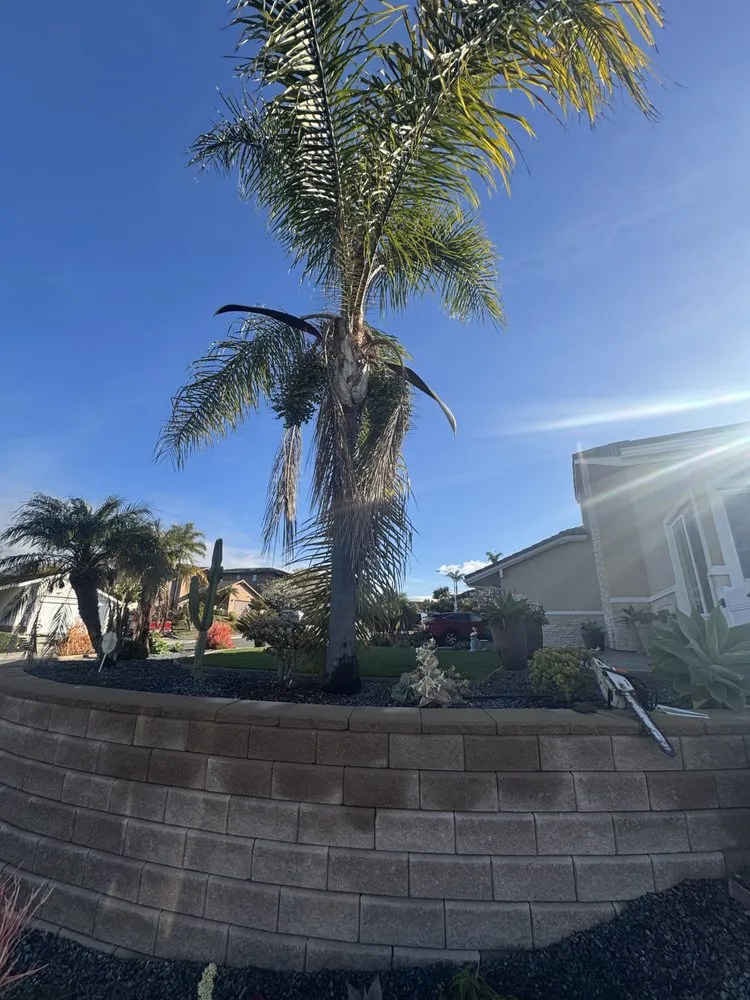 Professional lawn mowing service in Carlsbad, CA by Rudy Morales Landscape