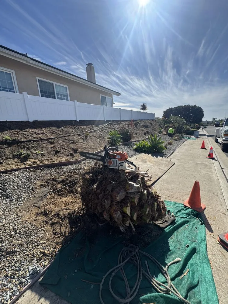 Affordable yard maintenance for homes in Carlsbad, CA by Rudy Morales Landscape
