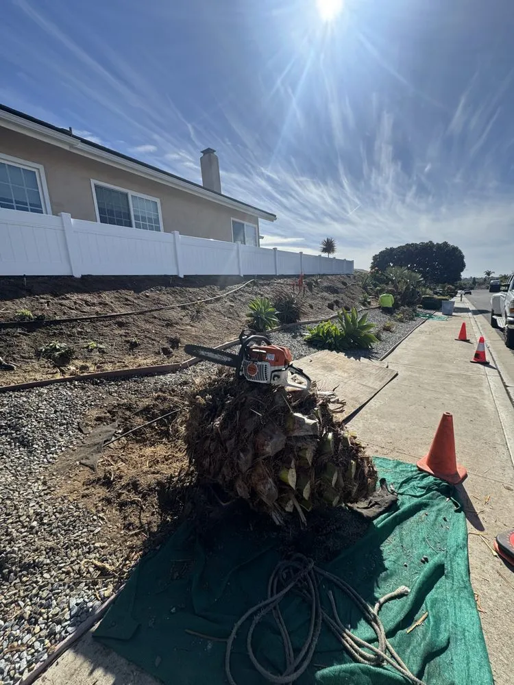 Top-rated residential landscaping experts serving Carlsbad, CA - Rudy Morales Landscape