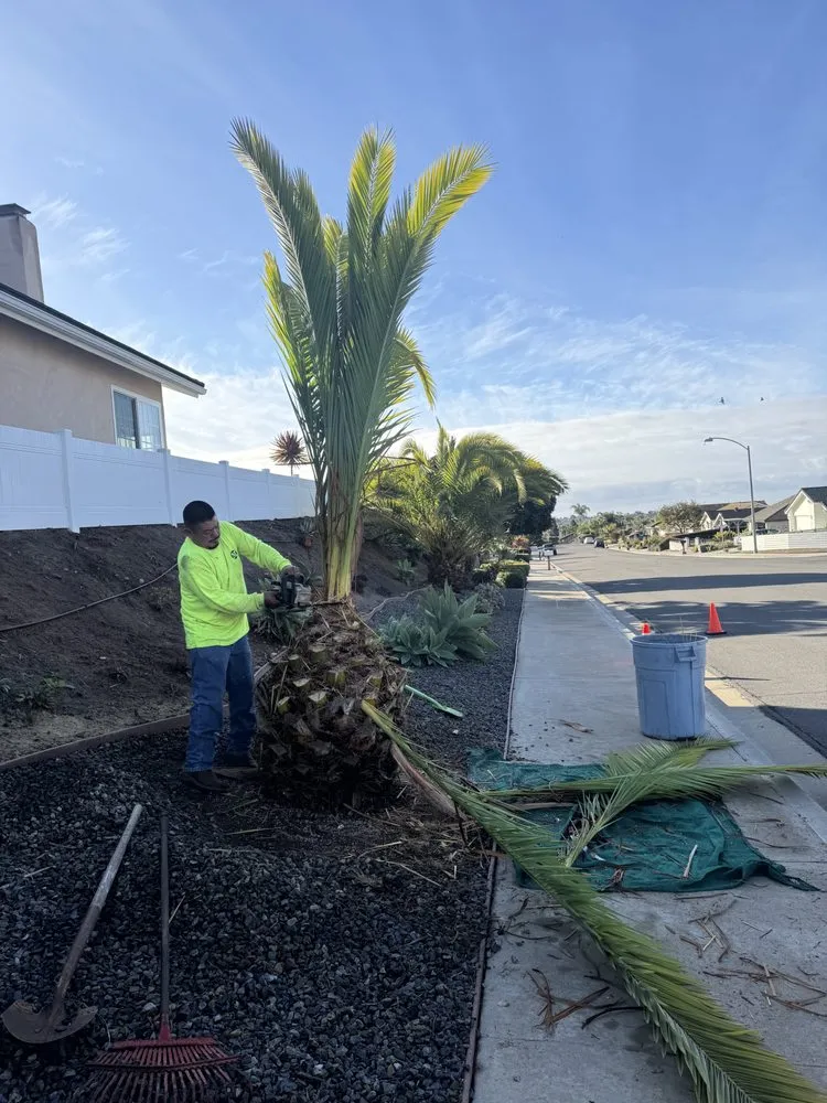 Expert landscape design for homes in Carlsbad, CA by Rudy Morales Landscape