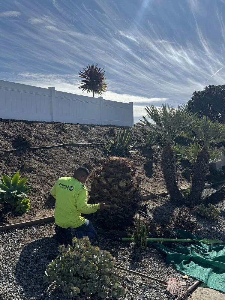 Reliable lawn mowing service for homes in Carlsbad, CA by Rudy Morales Landscape