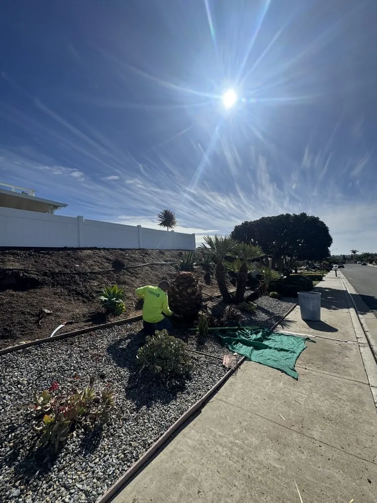 Reliable lawn care service for outdoor upgrades in Carlsbad, CA by Rudy Morales Landscape