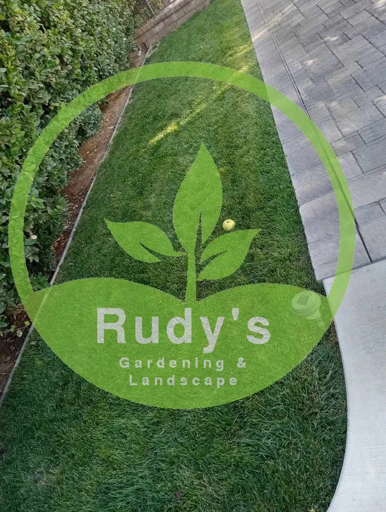 Custom garden landscaping in Santa Clarita, CA by Rudys Gardening & Maintenence