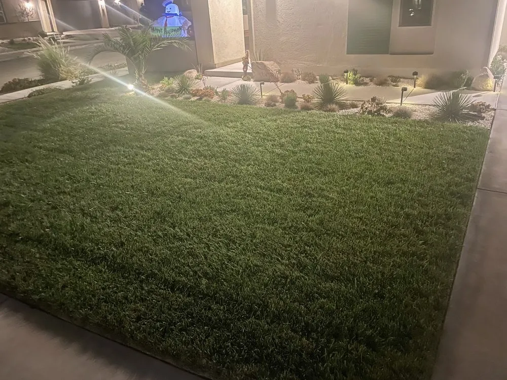 Local landscape design for beautiful yards across Santa Clarita, CA - Rudys Gardening & Maintenence