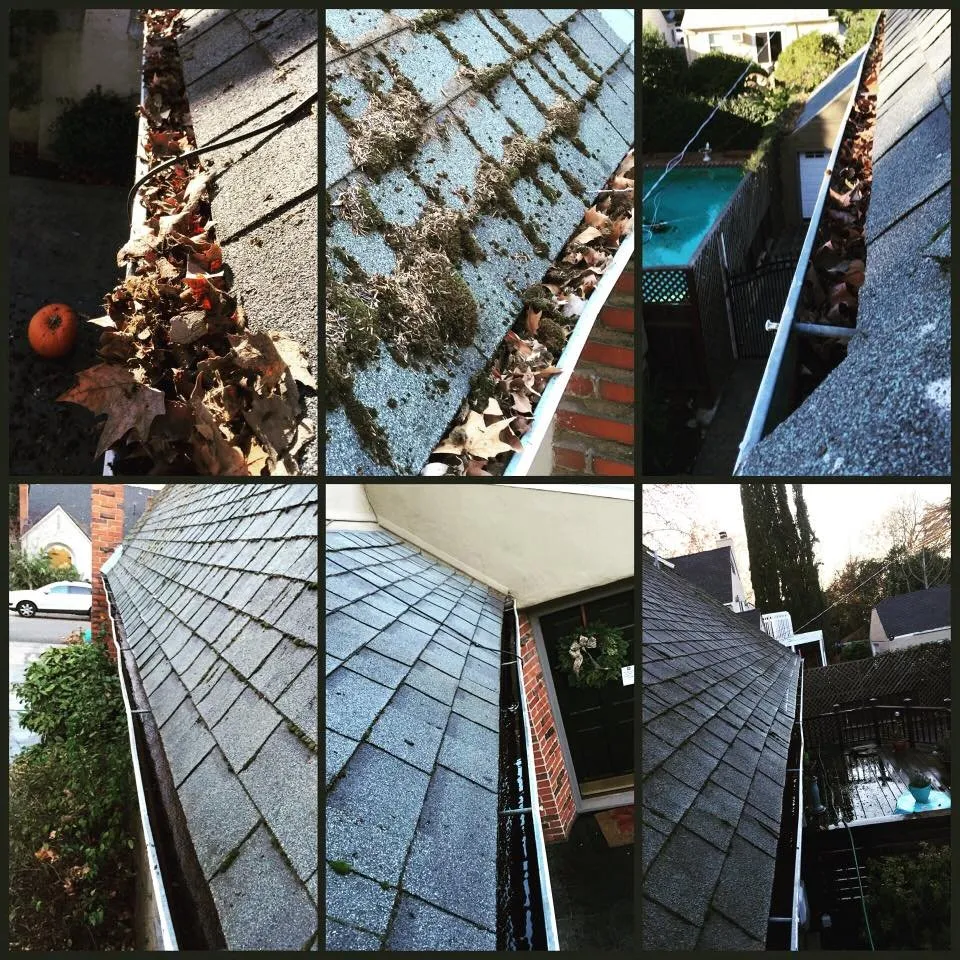 Professional landscaping services experts serving Elk Grove, CA - Rudy's Landscape