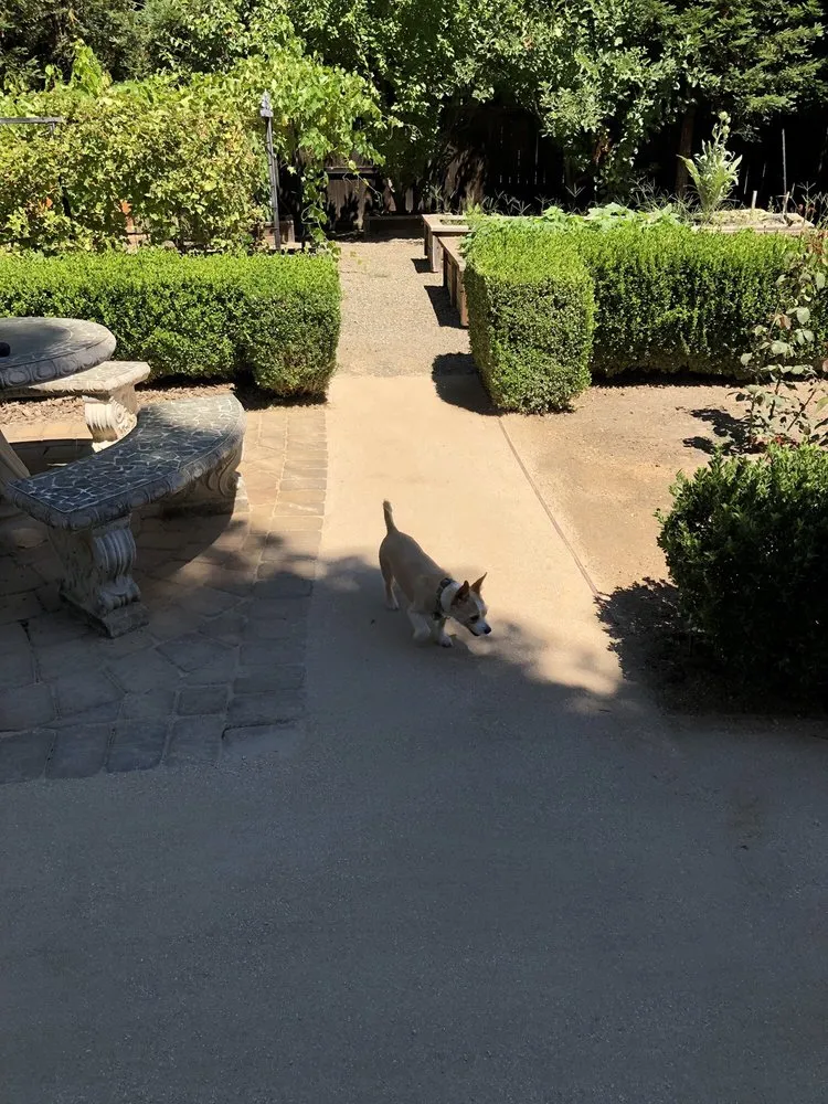 Custom yard maintenance near you in Elk Grove, CA by Rudy's Landscape