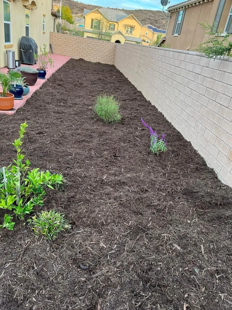 Reliable landscaping services in Simi Valley, CA by Rudy’s Landscape