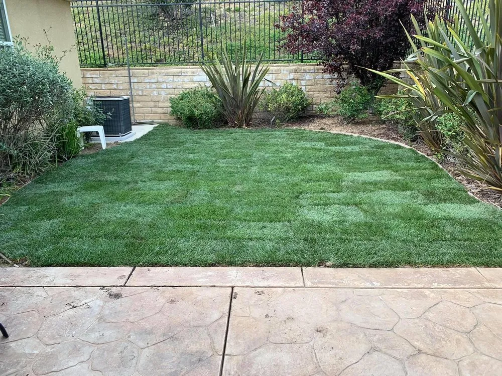 Top-rated lawn care service in Simi Valley, CA - Rudy’s Landscape