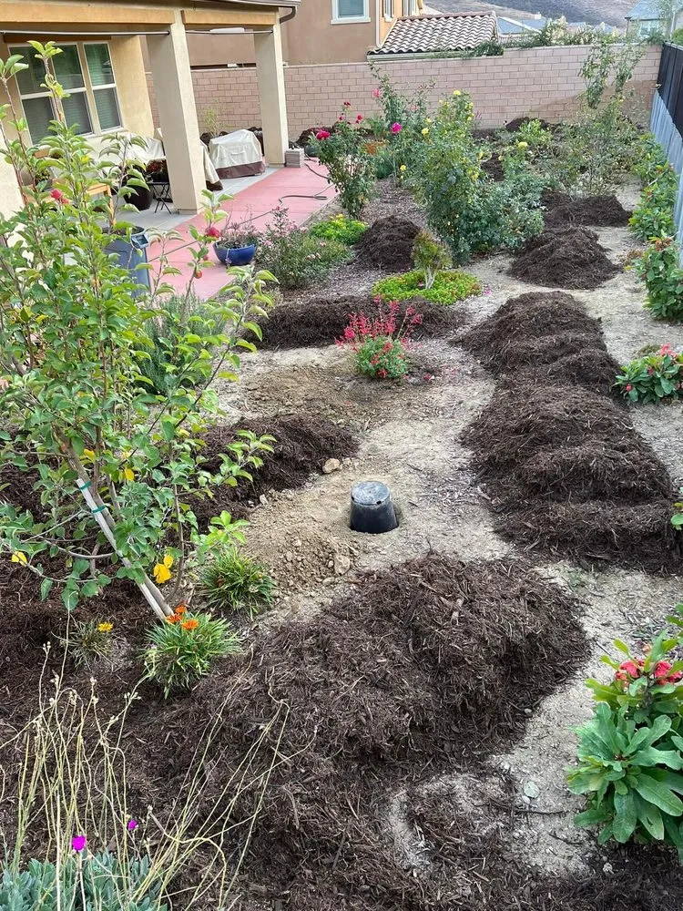 Custom landscape design in Simi Valley, CA - Rudy’s Landscape