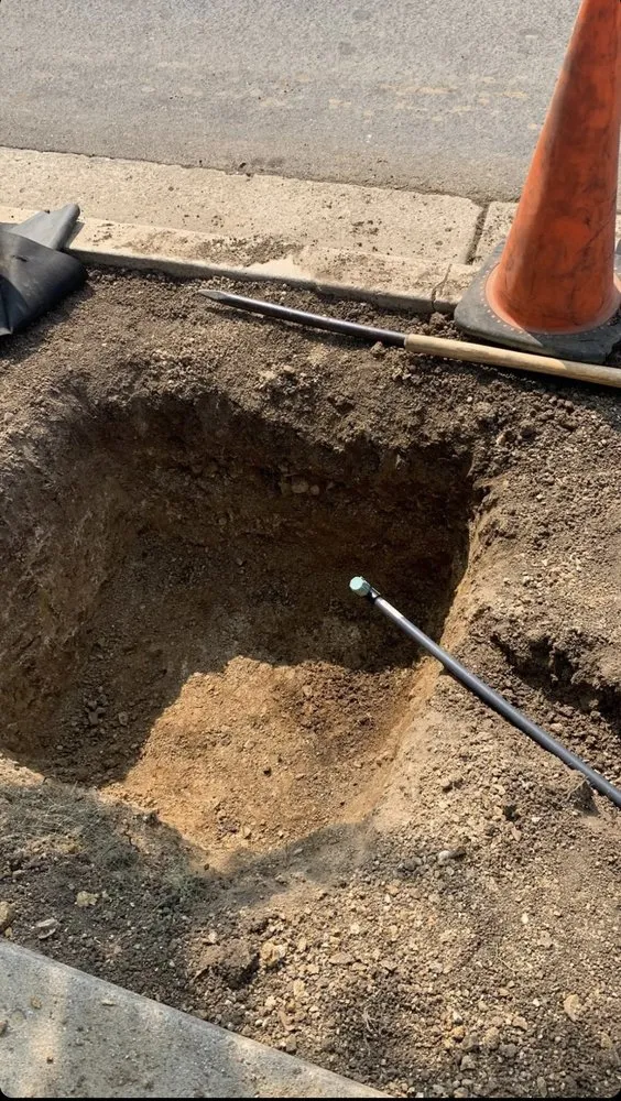 Professional yard cleanup service experts serving Simi Valley, CA - Rudy’s Landscape