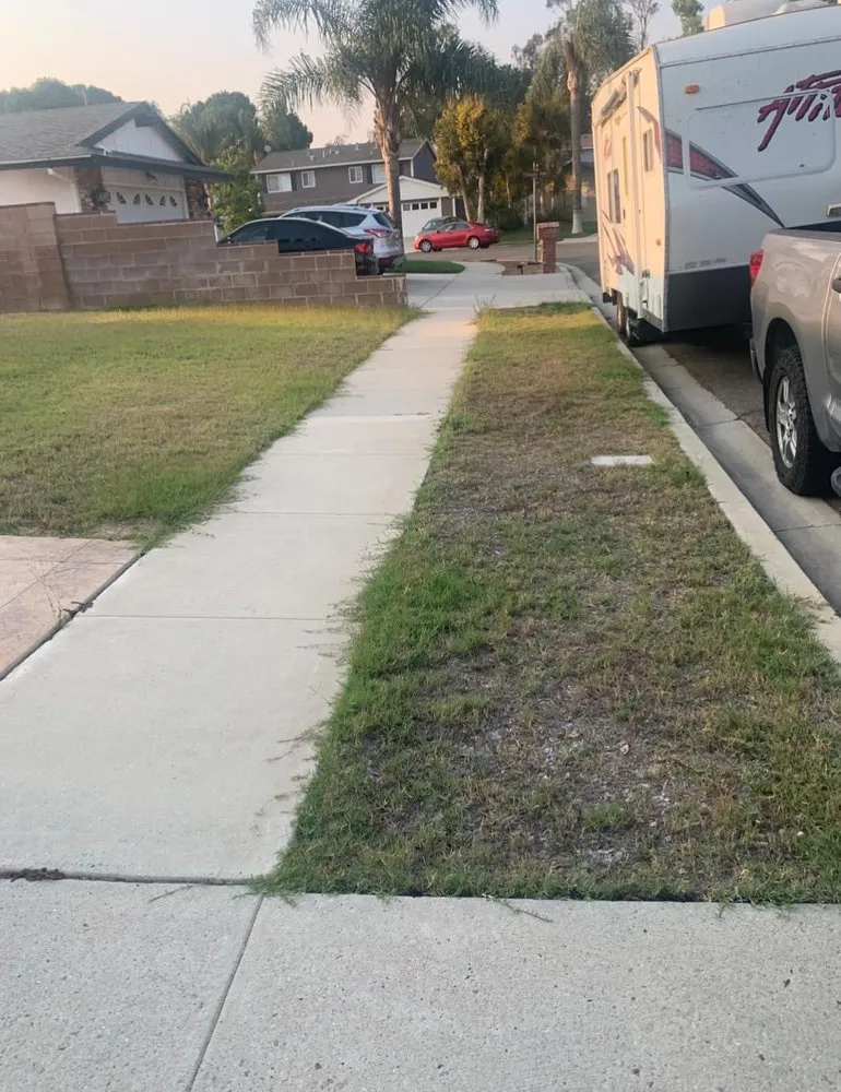 Local landscape design experts serving Simi Valley, CA - Rudy’s Landscape