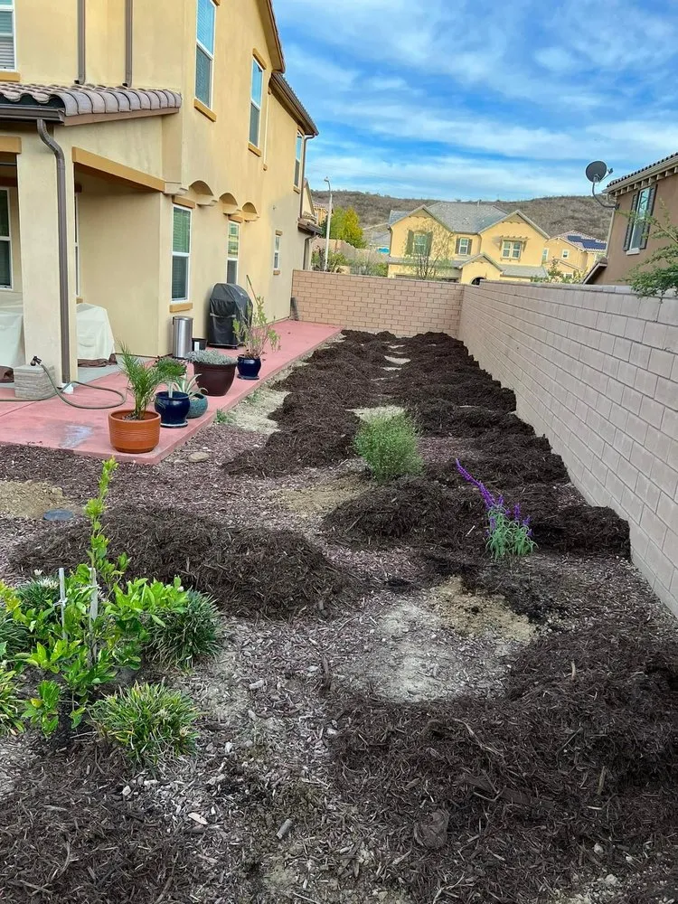Professional lawn care service in Simi Valley, CA by Rudy’s Landscape