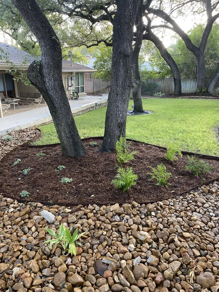 Expert yard cleanup service in San Antonio, TX - Rudy’s Landscape Solutions