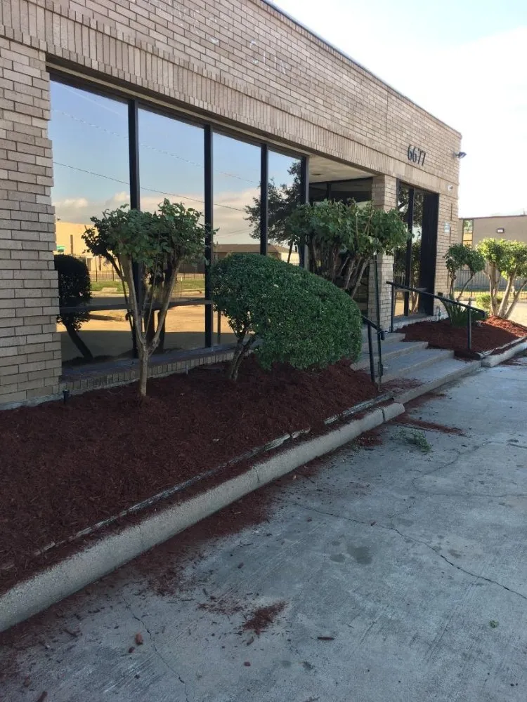 Reliable lawn care service for beautiful yards across Panorama Village, TX - Rudy's Landscaping & Lawn Services