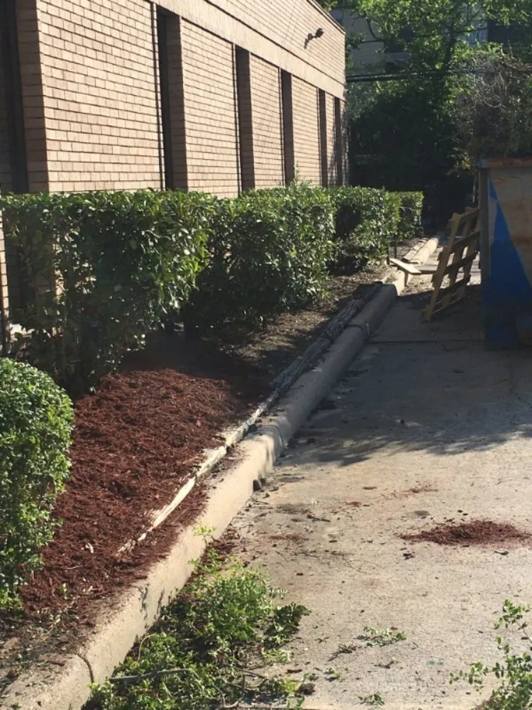 Expert lawn care service for residential properties across Panorama Village, TX - Rudy's Landscaping & Lawn Services