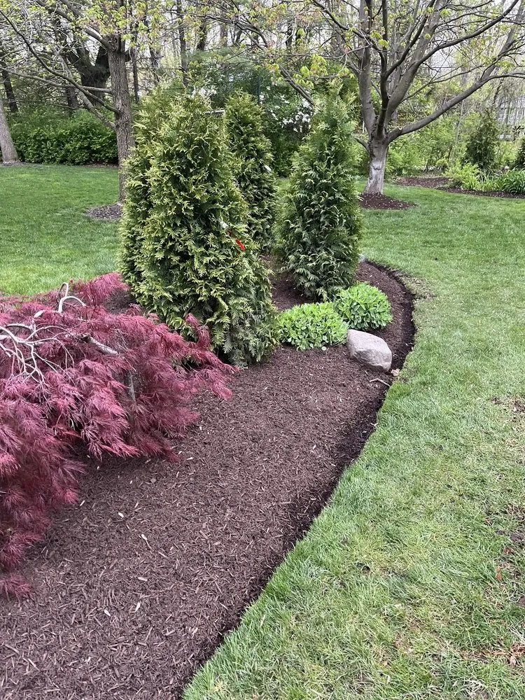 Professional lawn care service in Indianapolis, IN by Rudy's Landscaping