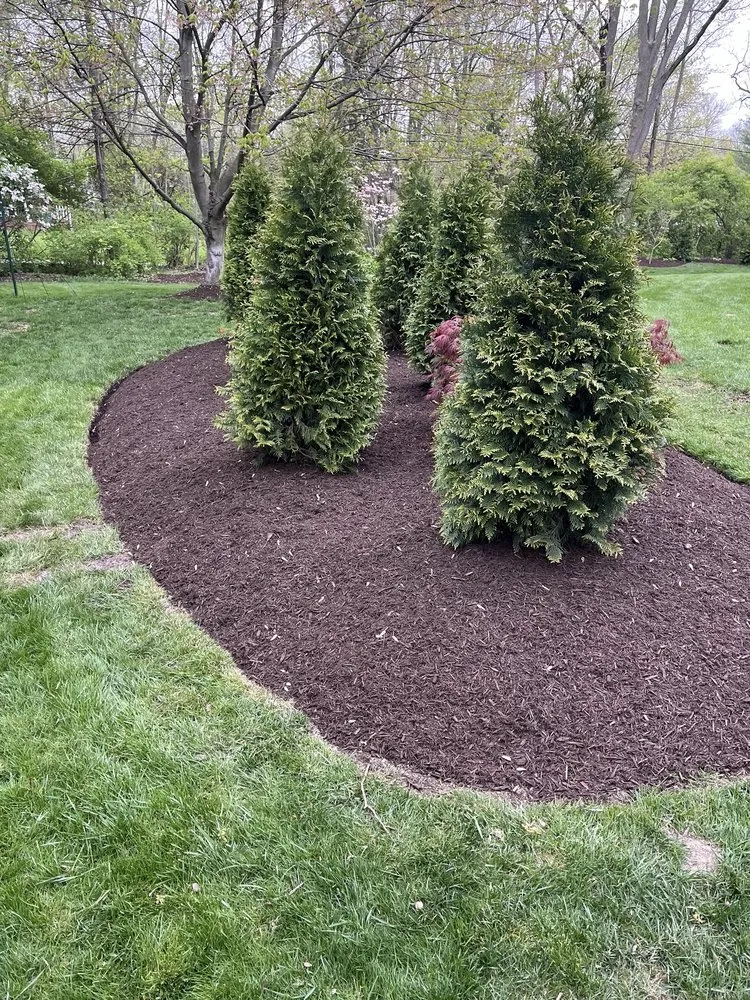 Expert outdoor landscaping for residential properties across Indianapolis, IN - Rudy's Landscaping