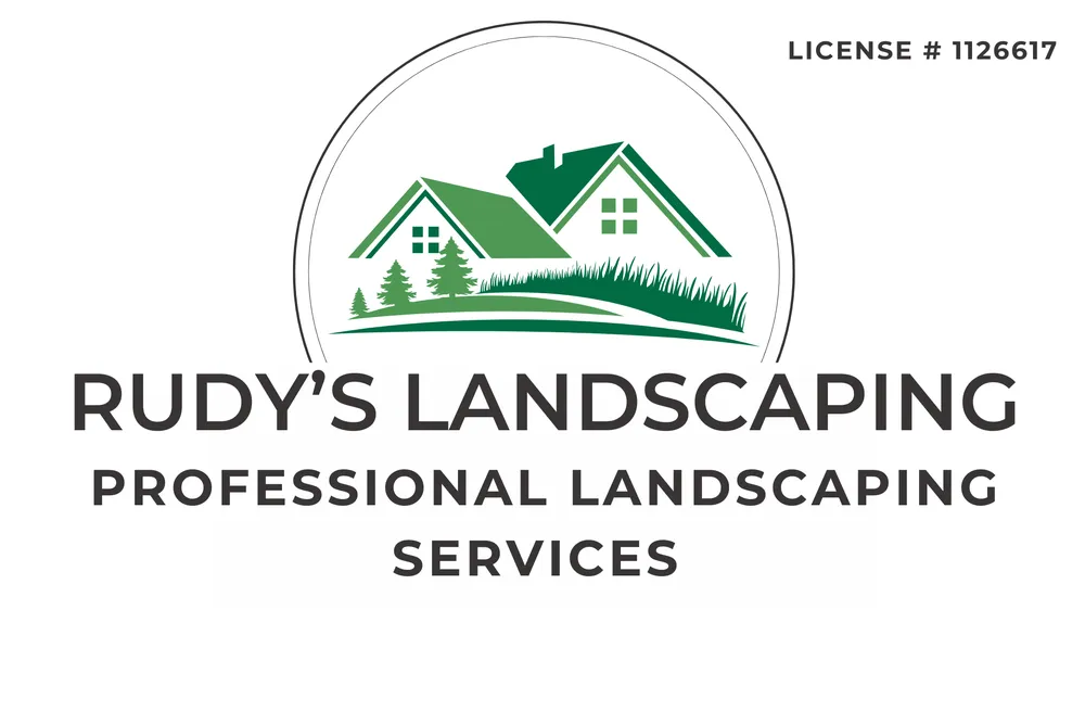 Local yard cleanup service with custom design in Petaluma, CA by Rudy's landscaping