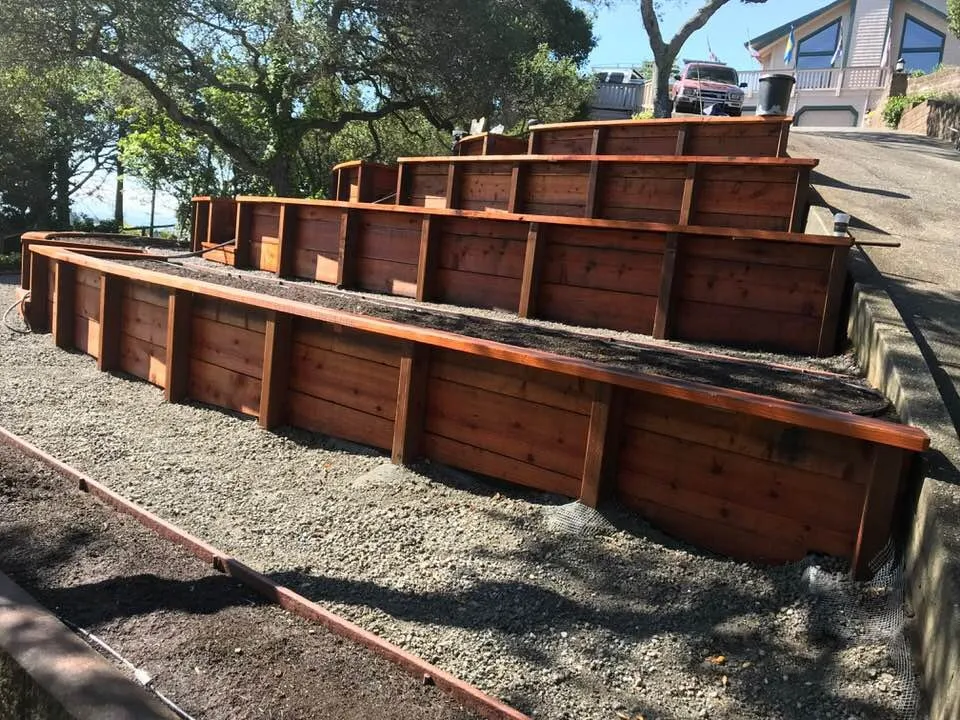 Affordable garden landscaping in Petaluma, CA - Rudy's landscaping