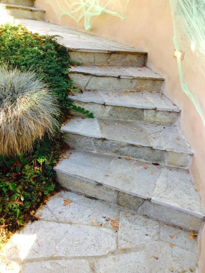 Reliable landscape design in Petaluma, CA by Rudy's landscaping