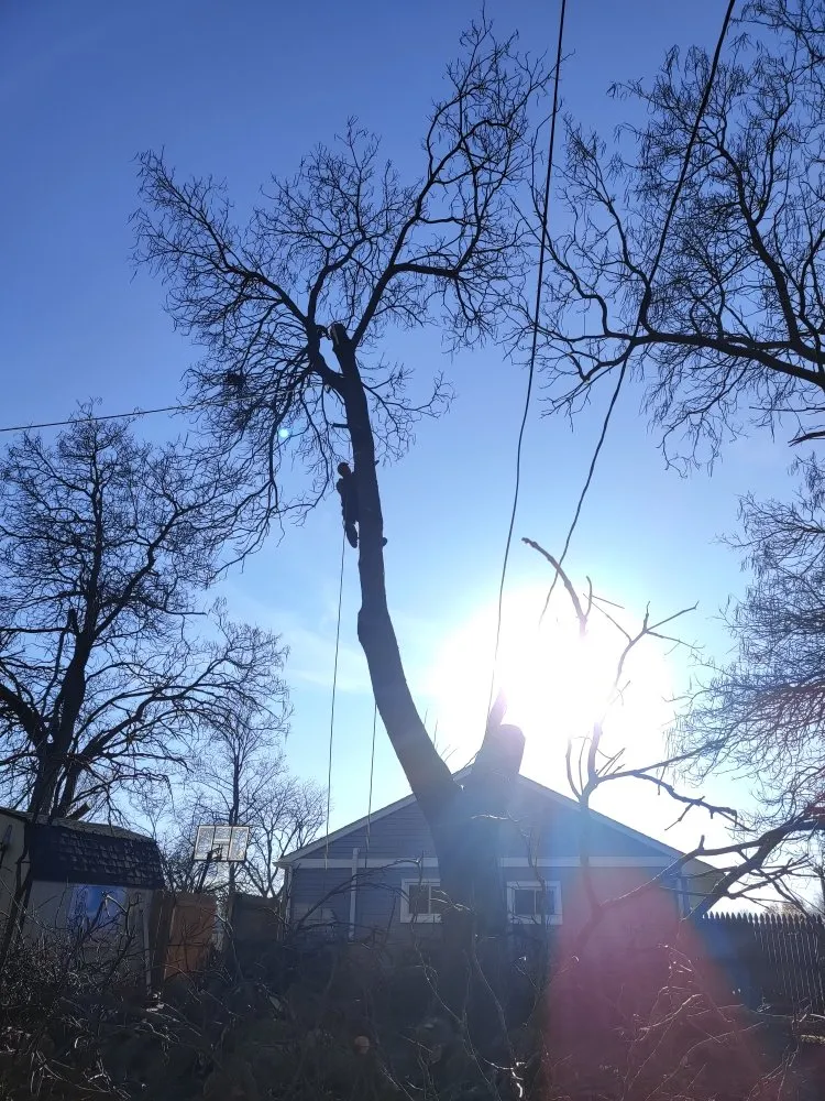 Professional landscaping services near you across Newark, DE - Rudy's Lawn & Trees Services